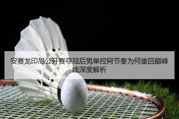an-sai-long-yin-ni-gong-kai-sai-duo-guan-hou-nan-dan-kong-wang-jie-zou-wei-he-zhong-hui-dian-feng-xian-shen-du-jie-xi-2-972.jpg